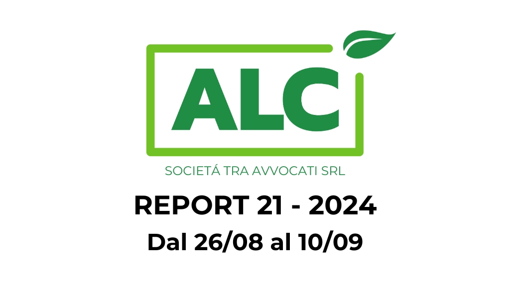 Scopri di più sull'articolo Report 21 – 2024